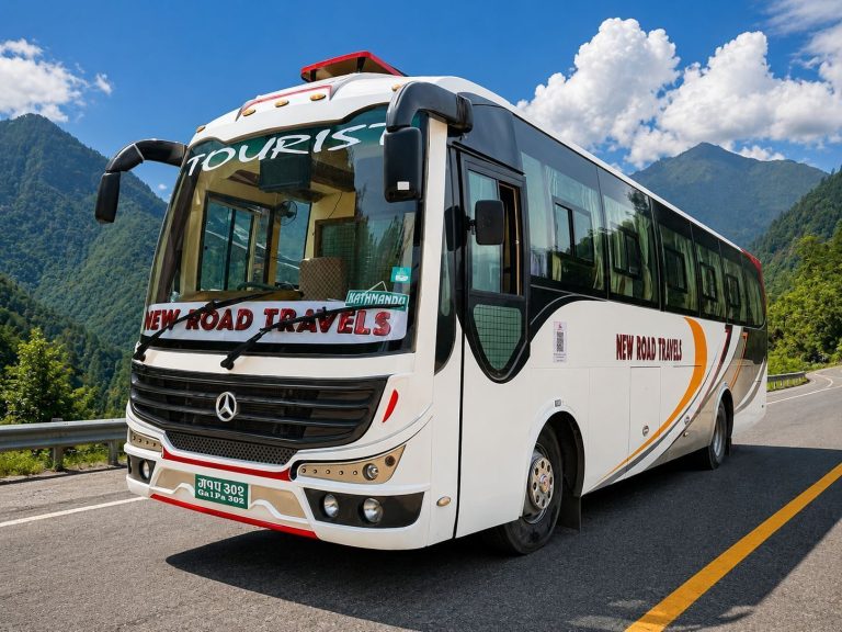 Newly launched new road travel bus