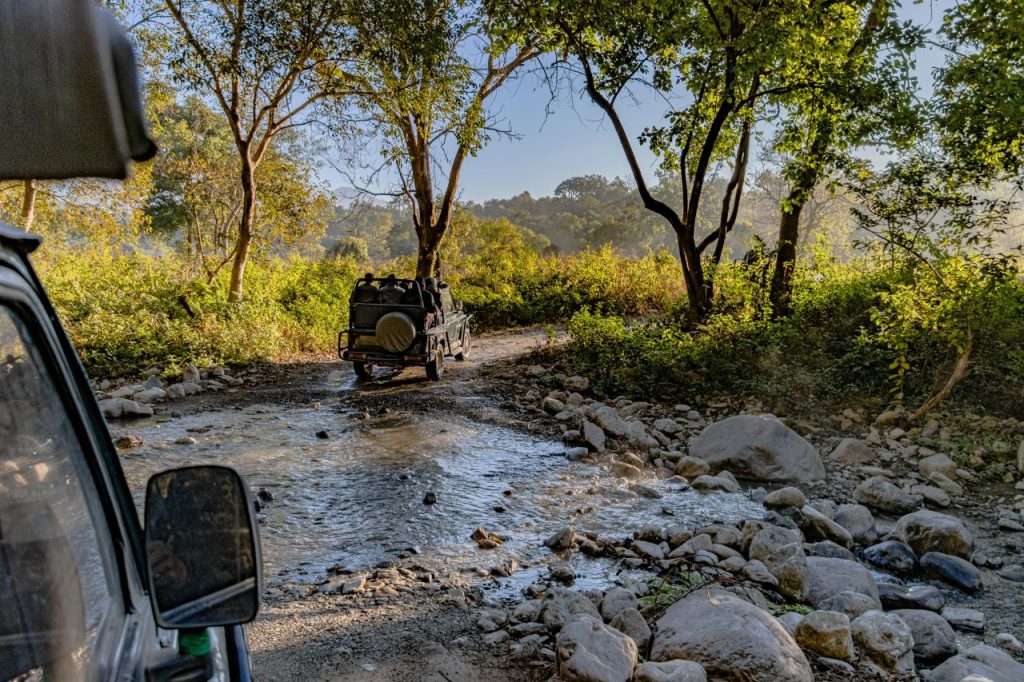 Jeep safari at Chitwan