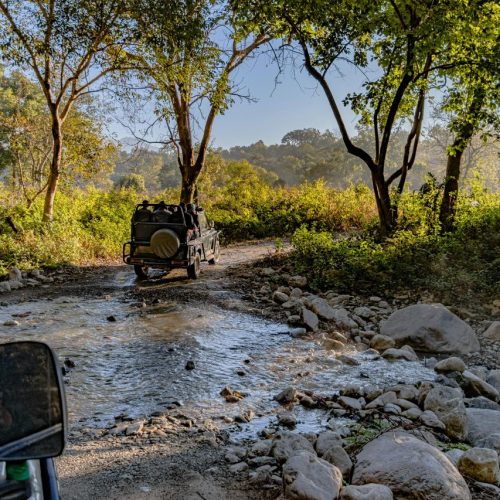 Jeep safari at Chitwan